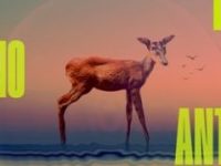 Bending Minds and&nbsp;Reality